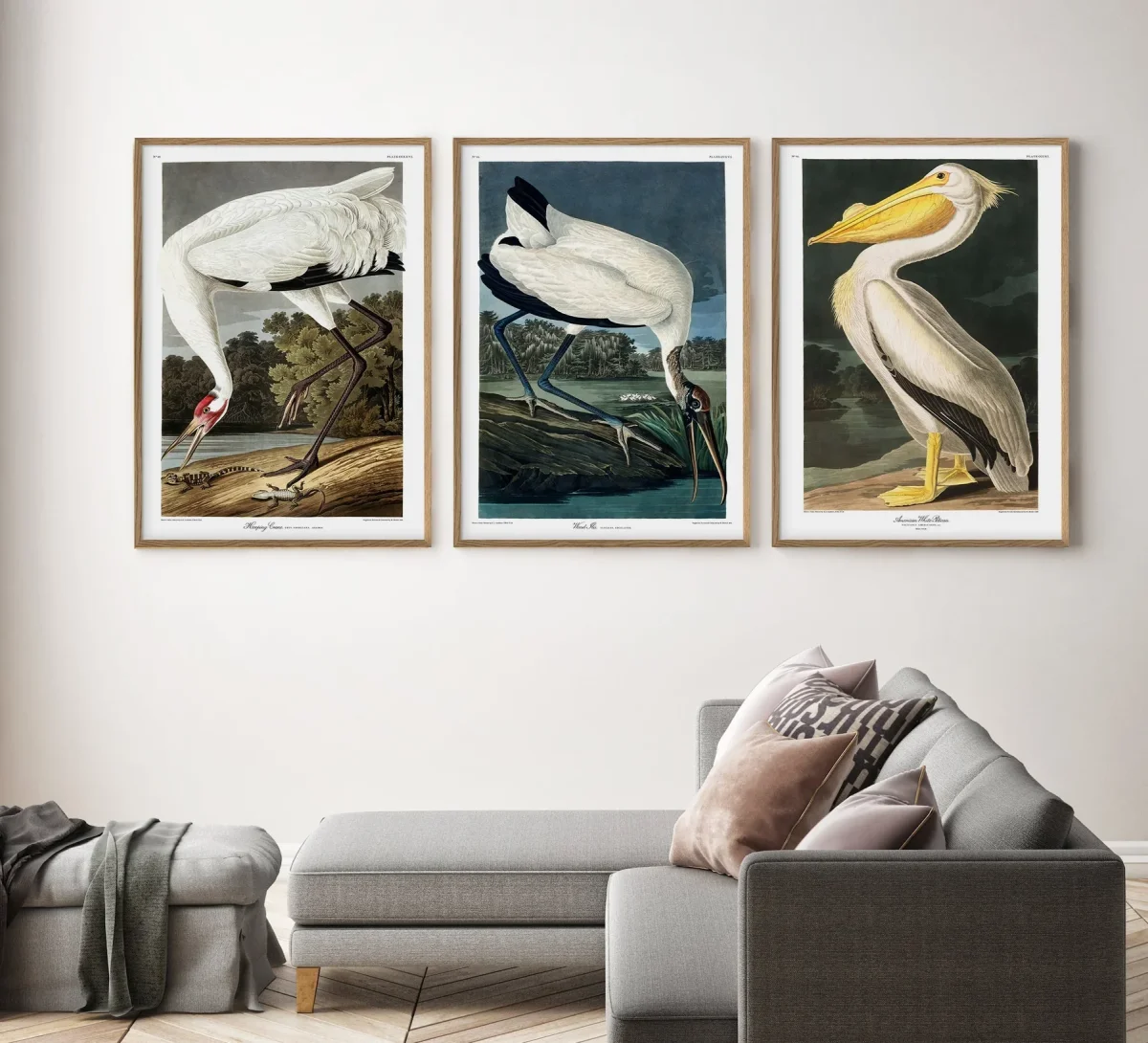 Wood Ibis - Image 4