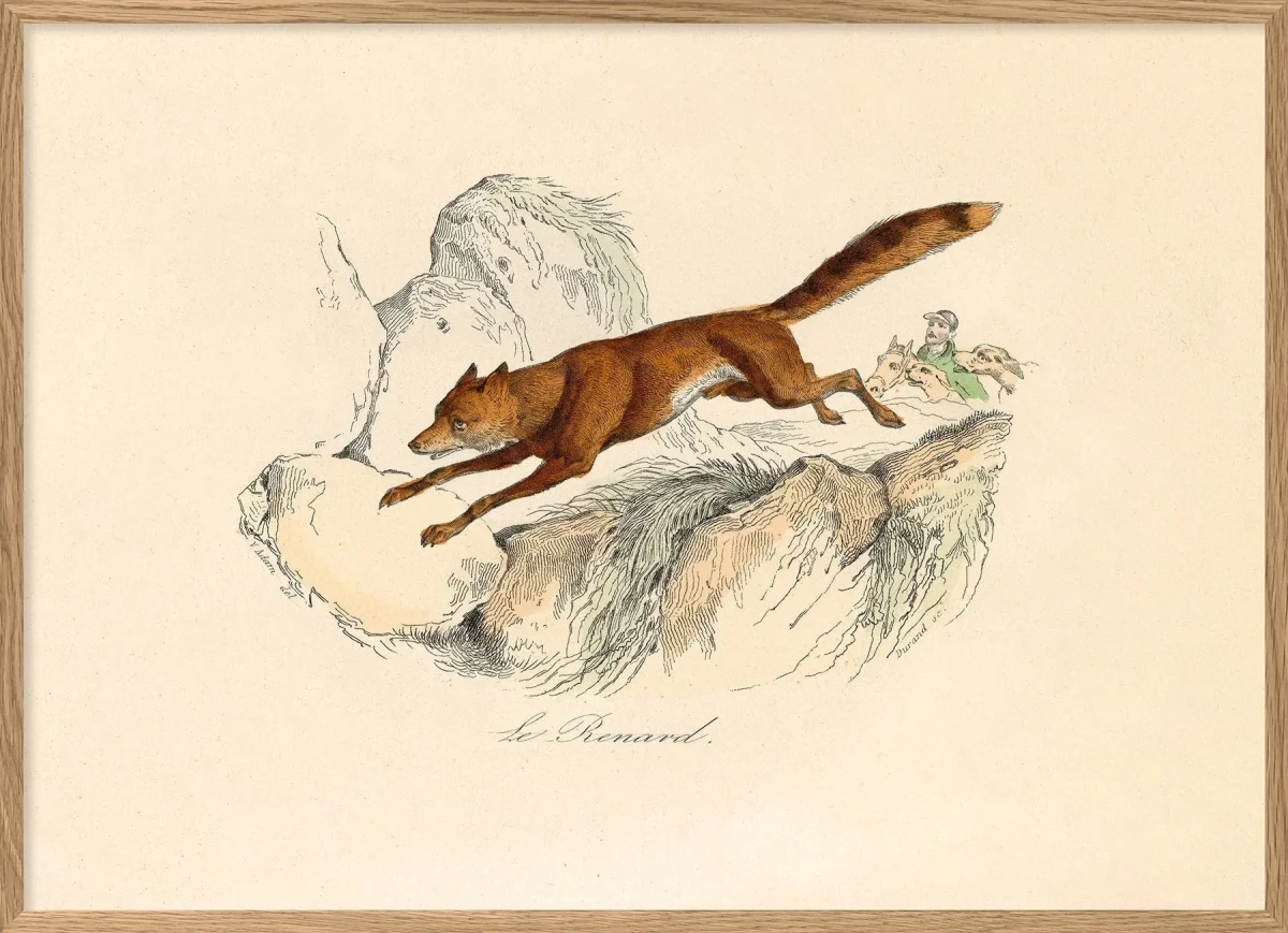 Le Renard - Image 2