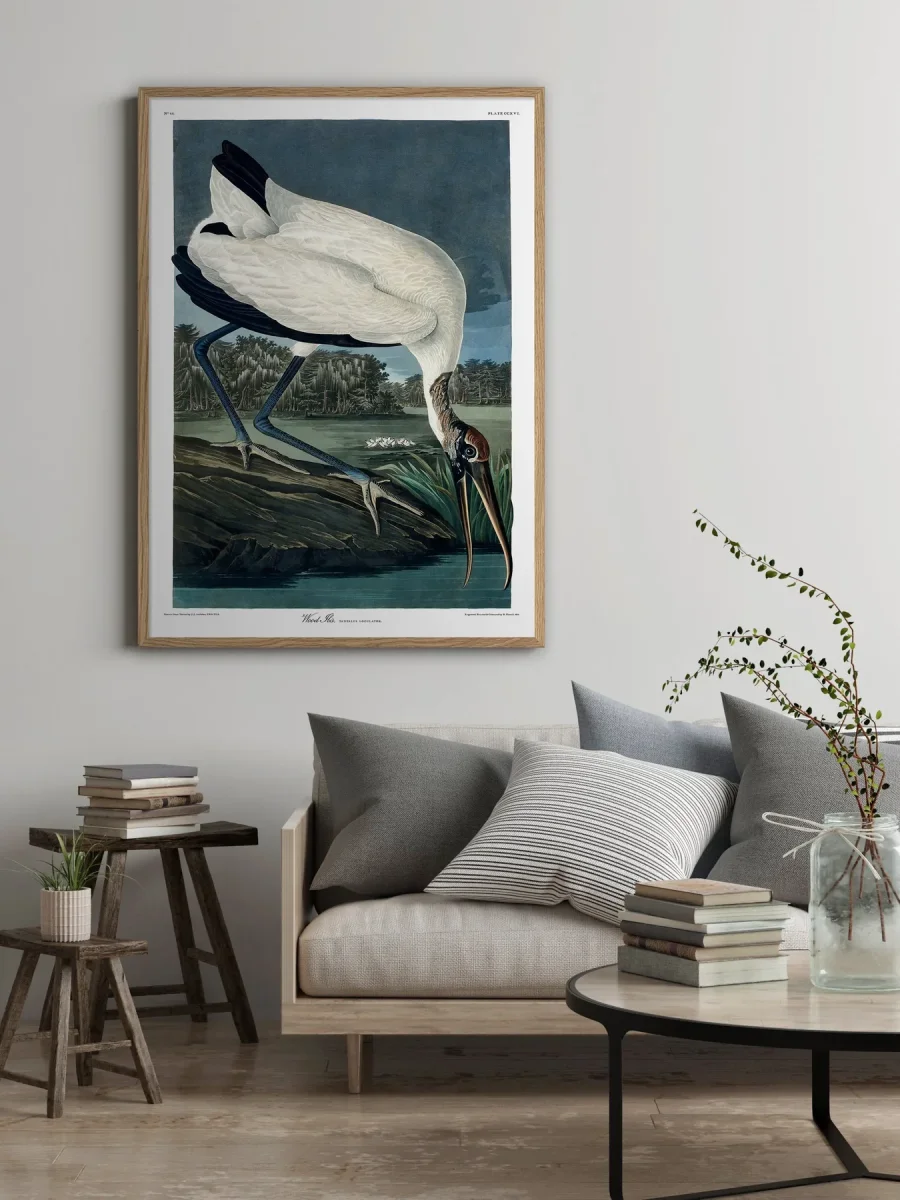Wood Ibis - Image 3
