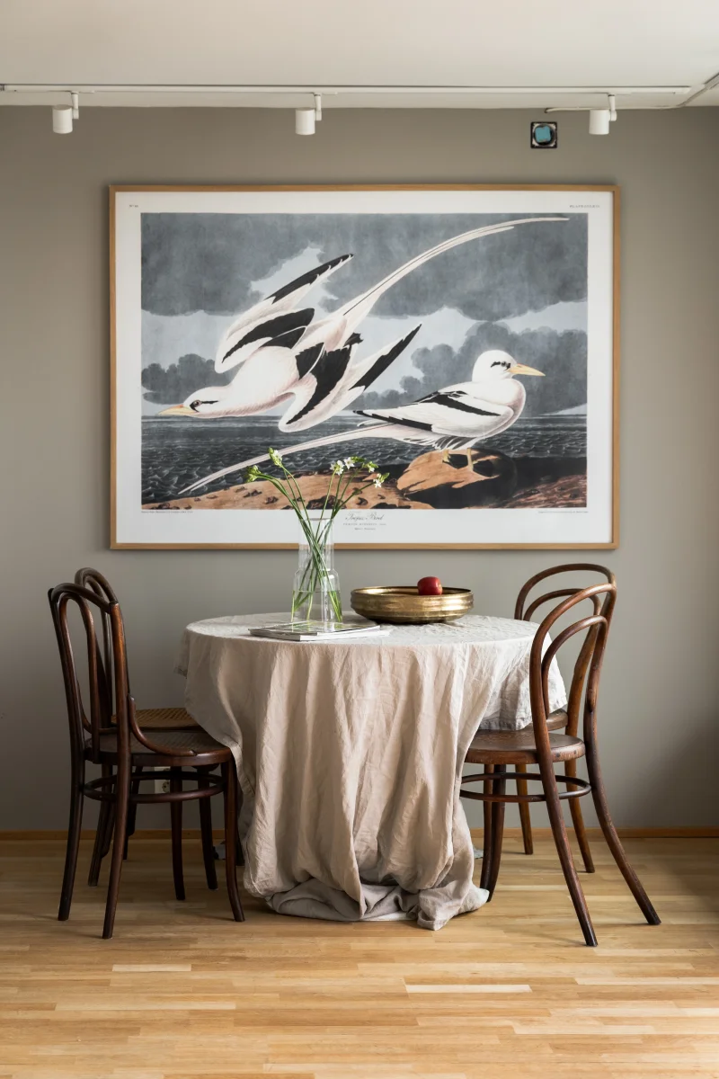 Tropic Bird - Image 3